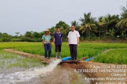 Atasi kekeringan, Dinas Pertanian Lebak pasang pompa