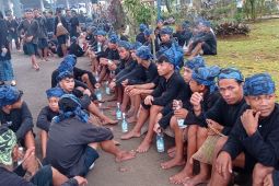 Empat warga Badui dirujuk ke rumah sakit akibat gigitan ular berbisa jenis ular tanah