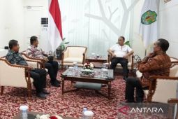 Pj Gubernur sambut kedatangan Menteri  di bandara Balikpapan