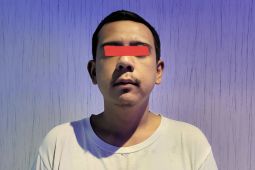 Polisi tangkap pemeran pria dalam kasus video asusila anak figur publik