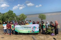 Adaro Logistic plants thousands mangroves in Kurau mangrove area