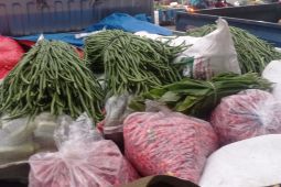 Petani Lebak pasok aneka sayuran ke Tangerang dan Jakarta