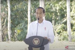 Presiden Jokowi akui potong jumlah undangan HUT RI di IKN karena kurang hotel