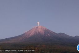 Semeru kembali erupsi dan keluarkan abu vulkanik setinggi 800 meter