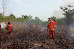 Damkar Jambi turunkan belasan armada padamkan 3,5 hektare lahan terbakar