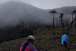 Kuota pendakian Gunung Binaiya penuh jelang hari kemerdekaan RI, TNM tutup pendaftaran sementara