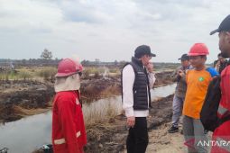 Usut kasus kebakaran lahan 50 hektare di Tanjabbar, Tim Gakumdu karhutla tinjau lokasi