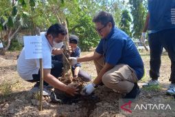 Pelindo Pangkalbalam tanam 700 pohon di Danau Wisata Pading