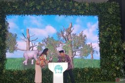 Pemprov Jambi terima bantuan dari swasta untuk pelestarian gajah di Bukit Tiga Puluh