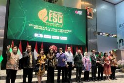 Kemenko Marves: Ekonomi terganggu jika RI tak lakukan transisi energi