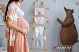 Ibu hamil diimbau periksa kehamilan enam bulan selama kehamilan