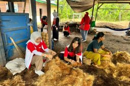 Relawan Bhakti Kementerian BUMN gelar 10  program di Halmahera Timur