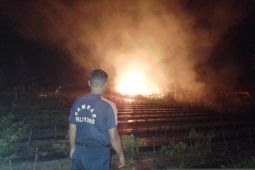 BPBD Belitung sebut tiap hari terima laporan kebakaran lahan