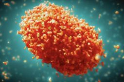 Mpox di Australia ada 35 kasus