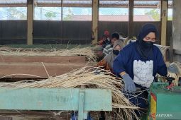 Kementerian Investasi catat terbitkan 10 juta izin usaha lewat OSS