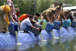 Produksi perikanan budi daya di Trenggalek capai 2.323,98 ton