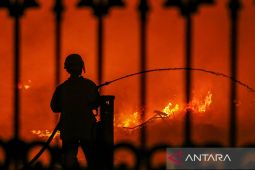 Kebakaran di LA meluas ke Hollywood, api sulit dikendalikan