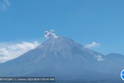 Gunung Semeru erupsi lontarkan abu vulkanik setinggi 700 meter