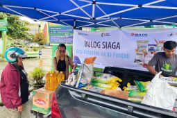 "Bulog Siaga" dihadirkan guna jaga ketahanan pangan Papua