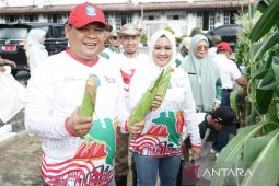Pemkab Bangka menggerakkan program gemar menanam