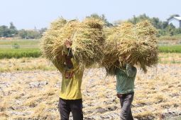 Pertumbuhan positif ekonomi Jatim