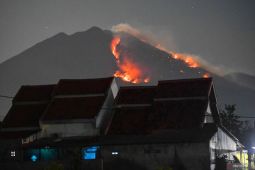Kebakaran hutan Gunung Merapi Ungup-ungup