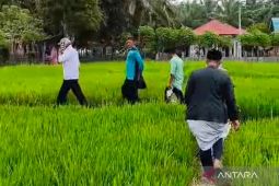 Masyarakat Mukomuko lestarikan tradisi "Ratik Berjalan"