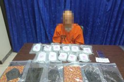 BNN ungkap dua WNA edarkan narkotika jenis hasis di Bali