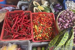 Rabu ini, harga cabai rawit merah turun jadi Rp58.460 per kg