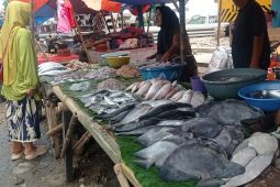 Pemkab Lebak optimistis target swasembada ikan terealisasi
