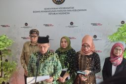 Indonesia to revise regulation to bolster pornography prevention