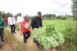 Bupati: Kutai Kartanegara kembangkan  pertanian jadi lumbung pangan IKN