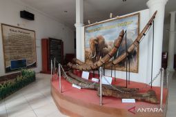 Warga Desa Terban penemu fosil purba di Kudus diusulkan mendapatkan kompensasi