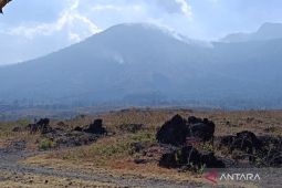 Kebakaran hutan di Gunung Guntur sudah padam
