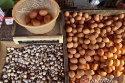 Harga pangan Sabtu turun, Telur Rp28.100 per kg, cabai Rp55.030 per kg