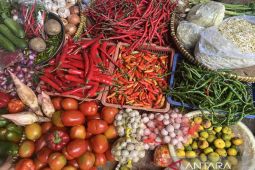 Harga pangan pada Minggu mayoritas naik: bawang merah dijual Rp25.900 per kg