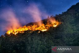 Kebakaran hutan di Jepang, ribuan warga terpaksa dievakuasi