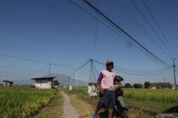 Listrik masuk sawah di Ngawi