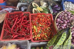 Harga pangan Senin mayoritas turun, cabai rawit jadi Rp52.900 per kg