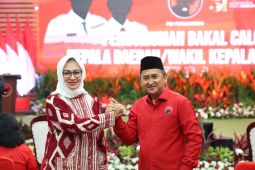 Megawati minta Airin kenakan pakaian merah hitam di pengumuman cakada