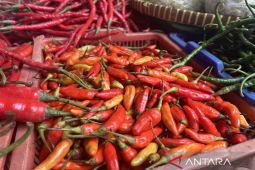 Cabai keriting naik Rp6.680 jadi Rp49.390 per kg