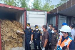 Bea Cukai Kalbagbar menggagalkan ekspor ilegal Rotan senilai Rp2,6 miliar