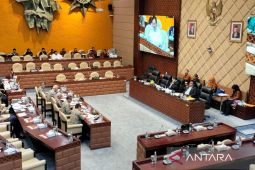 Menteri PUPR: Usulan tambahan anggaran 2025 untuk ketahanan pangan