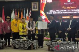 Airin sebut dukungan parpol tidak instan, bantah Ade Sumardi jadi alternatif