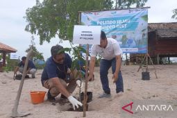 Pelindo Pangkalbalam tanam 700 pohon buah di Danau Wisata Pading