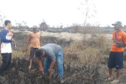 Polda Jambi selidiki karhutla terjadi di wilayah konsesi Tanjab Barat