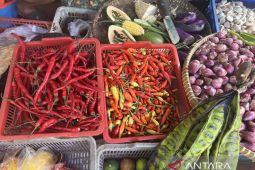 Harga pangan: Cabai keriting naik Rp8.450 jadi Rp50.000 per kg
