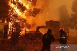 Belasan pemadam terluka saat tangani kebakaran hutan di Yunani
