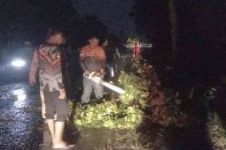 Hujan disertai angin kencang akibatkan sejumlah rumah rusak di Labura