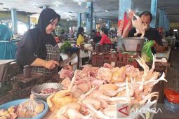 Harga pangan hari ini, daging ayam Rp36.910 per kg, cabai Rp50.000 per kg